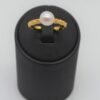 CSC_0505-2.jpg